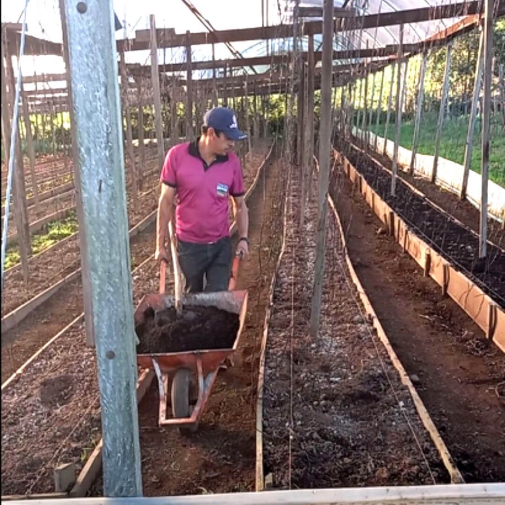 Homem cuidando da terra